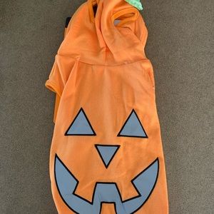 Dog Reflective Jack-O'-Lantern Costume